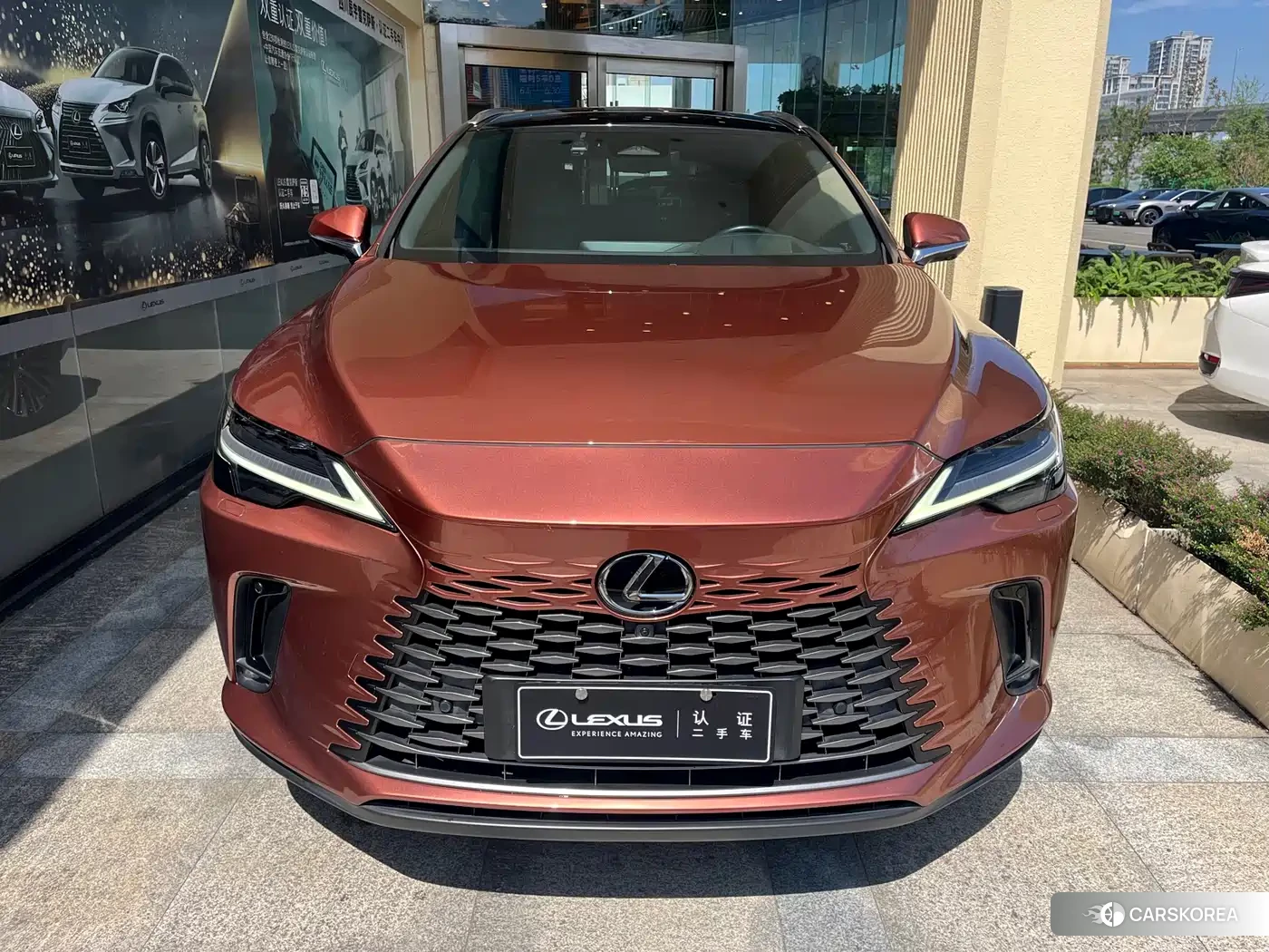 Lexus RX 2023 Champagne/brown из Китая, фото 2