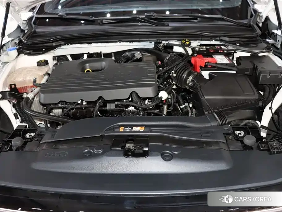 Ford Evos 2023 Белый из Китая, фото 2