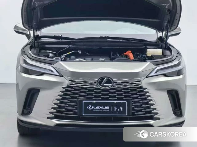 Lexus RX 2024 Темно-серый из Китая, фото 3