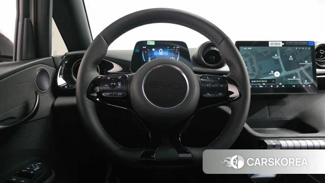 BYD Dolphin 2026 Жемчужный цвет из Кореи, фото 3
