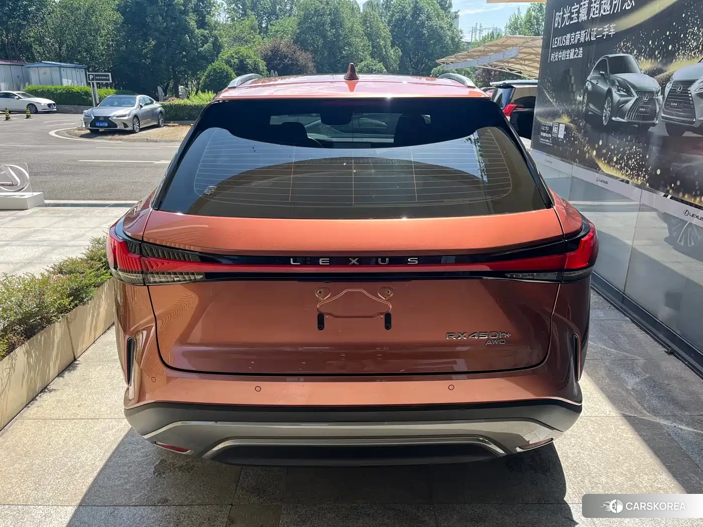 Lexus RX 2023 Champagne/brown из Китая, фото 3
