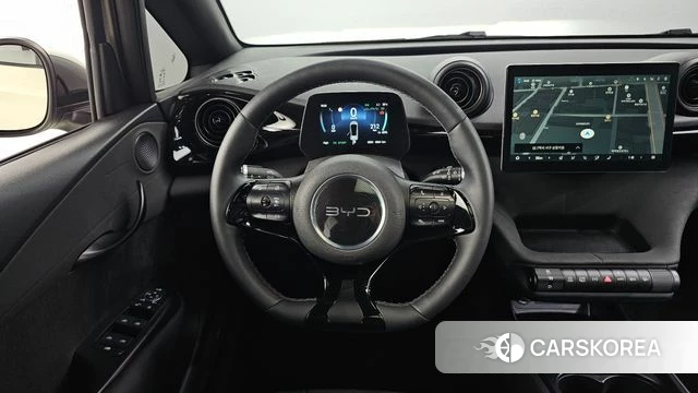 BYD Dolphin 2026 Жемчужный цвет из Кореи, фото 3