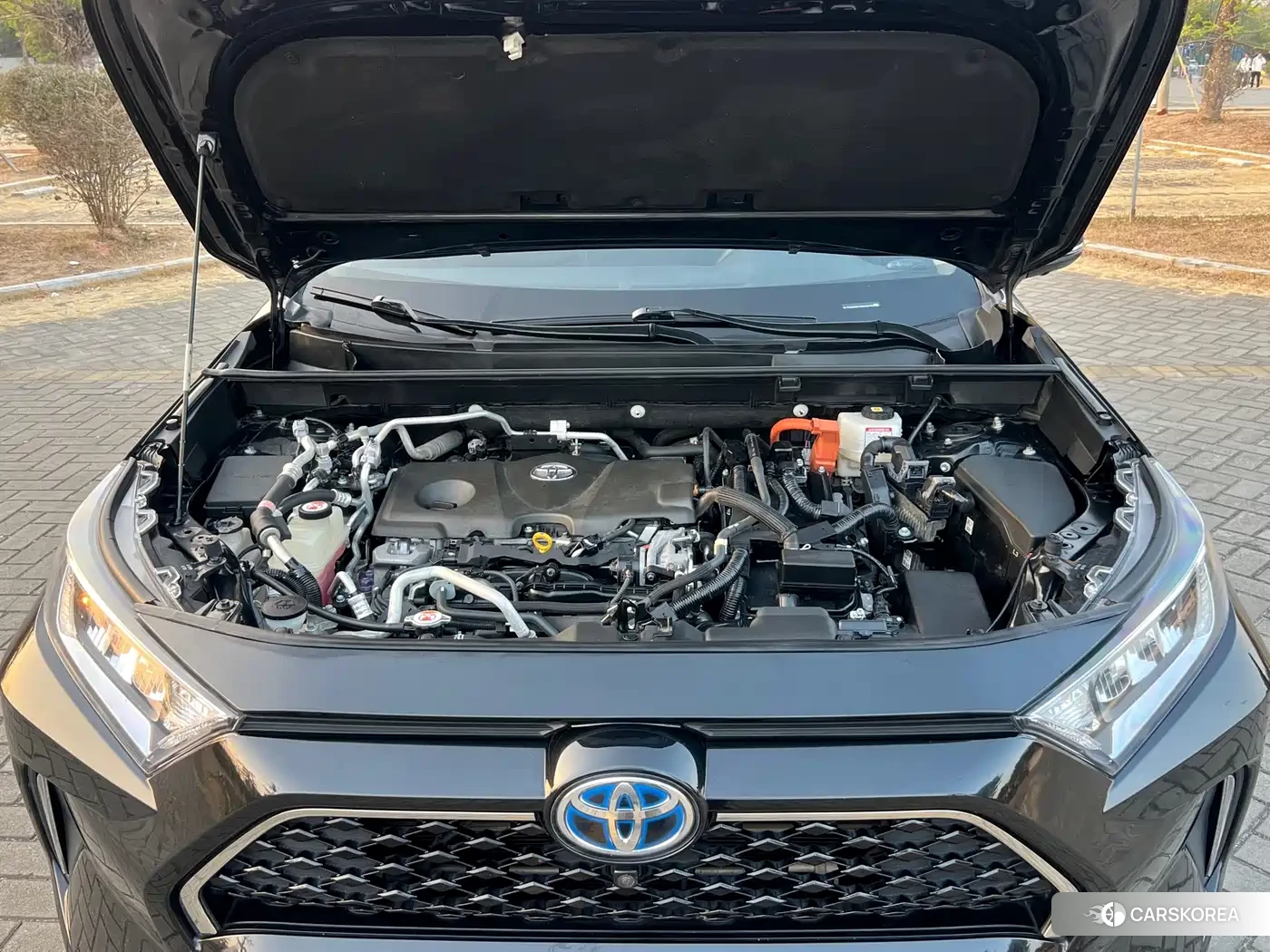 Toyota RAV4 2022 Черный из Китая, фото 3