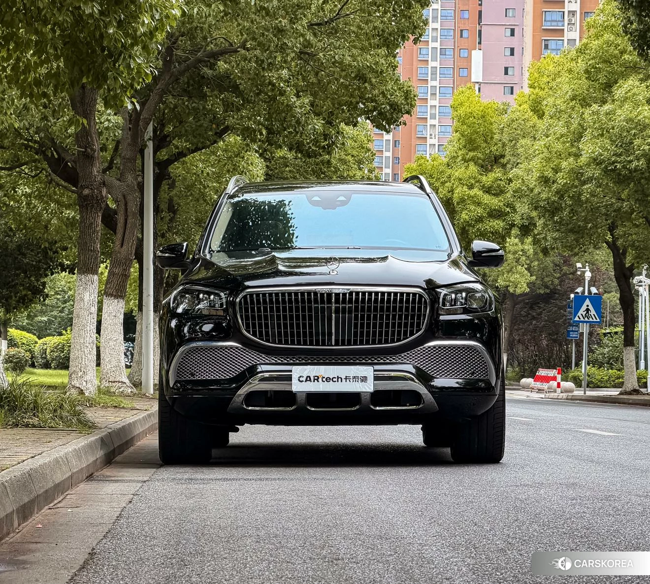 Mercedes-Benz Maybach GLS 2020 Черный из Китая, фото 3