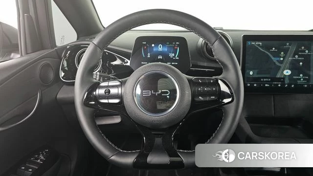 BYD Dolphin 2026 Белый из Кореи, фото 3