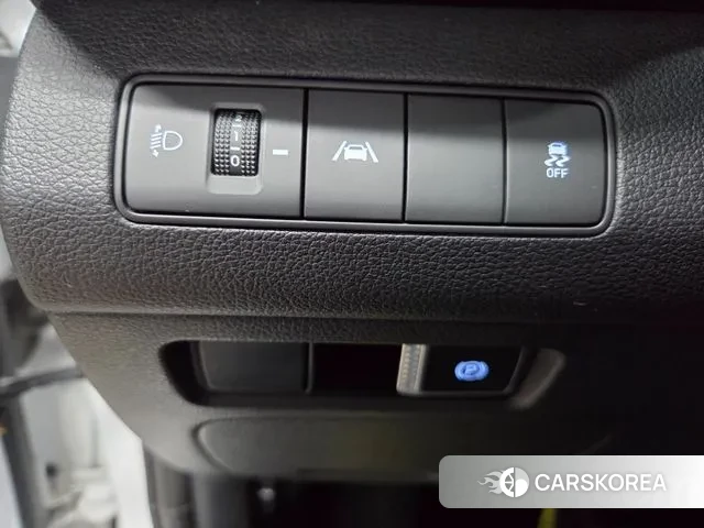 Hyundai The New Santa Fe 2020 Жемчужный цвет из Кореи, фото 3