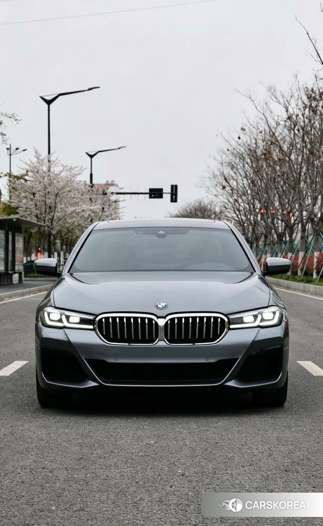 BMW 5 series 2021 Темно-серый из Китая, фото 3