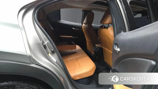 Lexus UX250h 2019 Цвет тростника из Кореи, фото 3