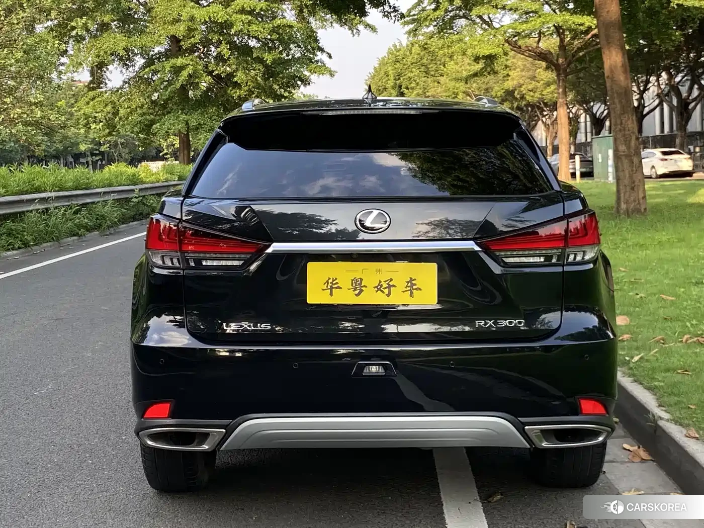 Lexus RX 2022 Черный из Китая, фото 3