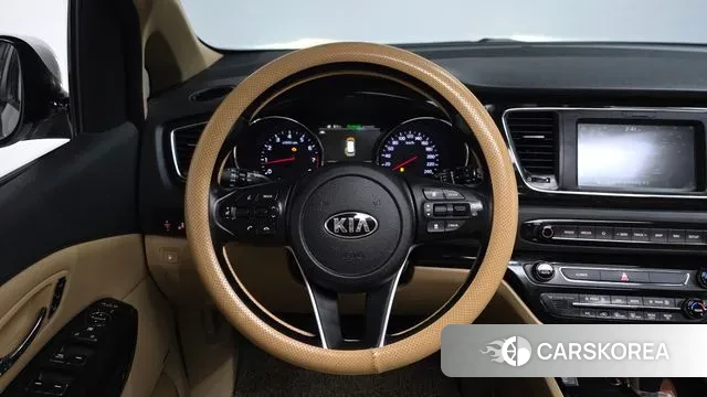 Kia The New Carnival 2019 Белый из Кореи, фото 4