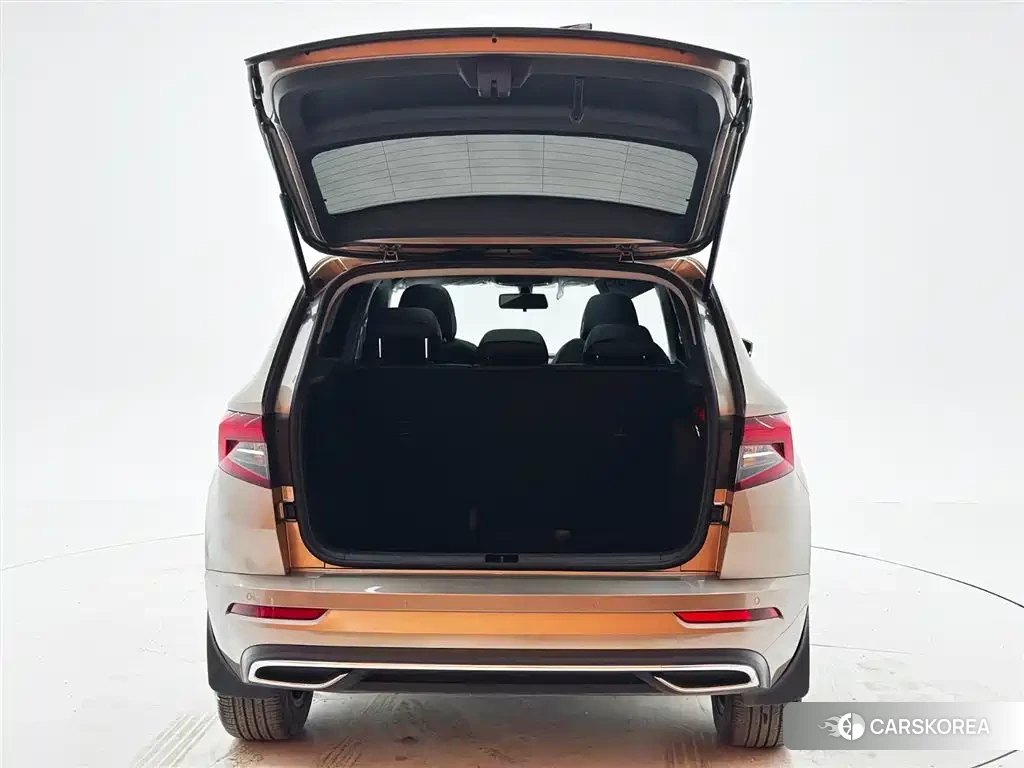 Skoda Karoq 2022 Champagne/brown из Китая, фото 4