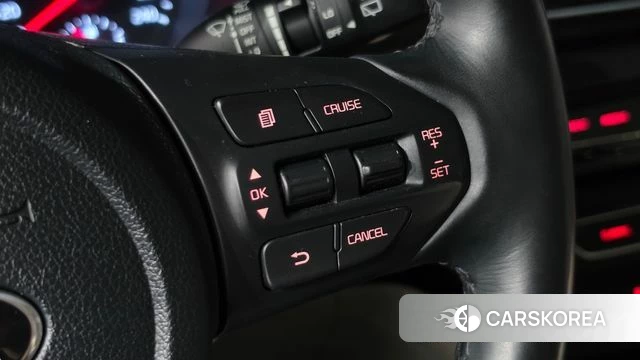 Kia The New Carnival 2019 Белый из Кореи, фото 4