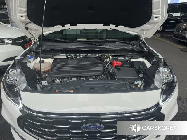 Ford Escape 2022 Белый из Китая, фото 4