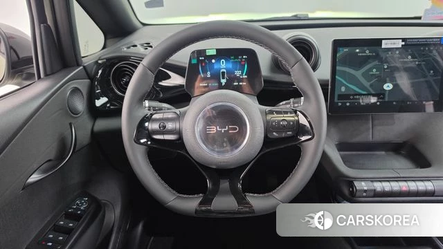 BYD Dolphin 2026 Жемчужный цвет из Кореи, фото 4
