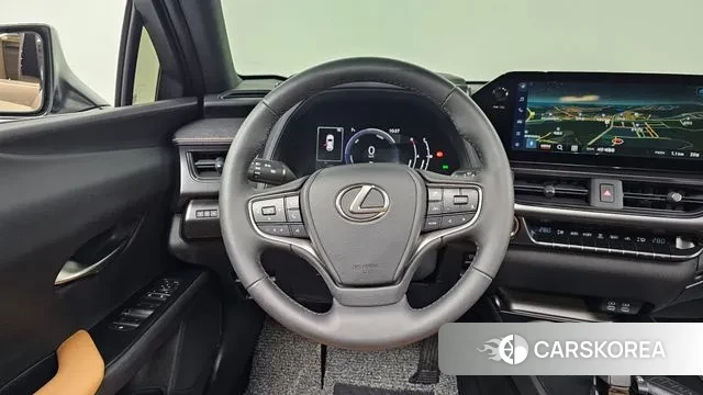 Lexus UX300h 2025 Серый из Кореи, фото 4
