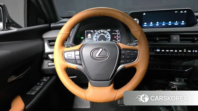 Lexus UX250h 2019 Цвет тростника из Кореи, фото 4