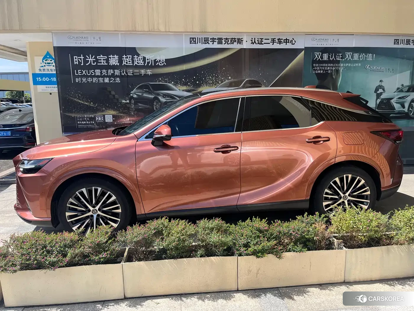 Lexus RX 2023 Champagne/brown из Китая, фото 4