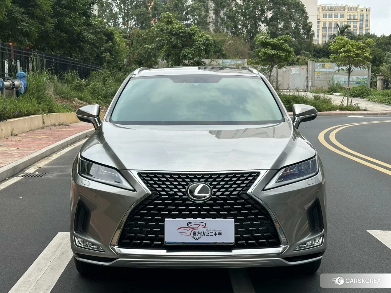 Lexus RX 2019 Серебристо-серый из Китая, фото 4