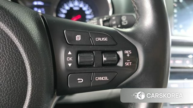 Kia The New Carnival 2019 Белый из Кореи, фото 4