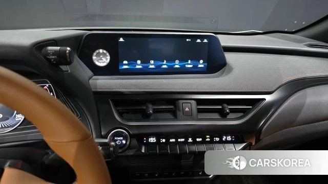 Lexus UX250h 2019 Цвет тростника из Кореи, фото 5