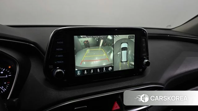 Hyundai Santa Fe TM 2018 Цвет тростника из Кореи, фото 5