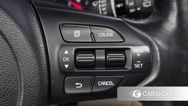 Kia The New Carnival 2018 Белый из Кореи, фото 5