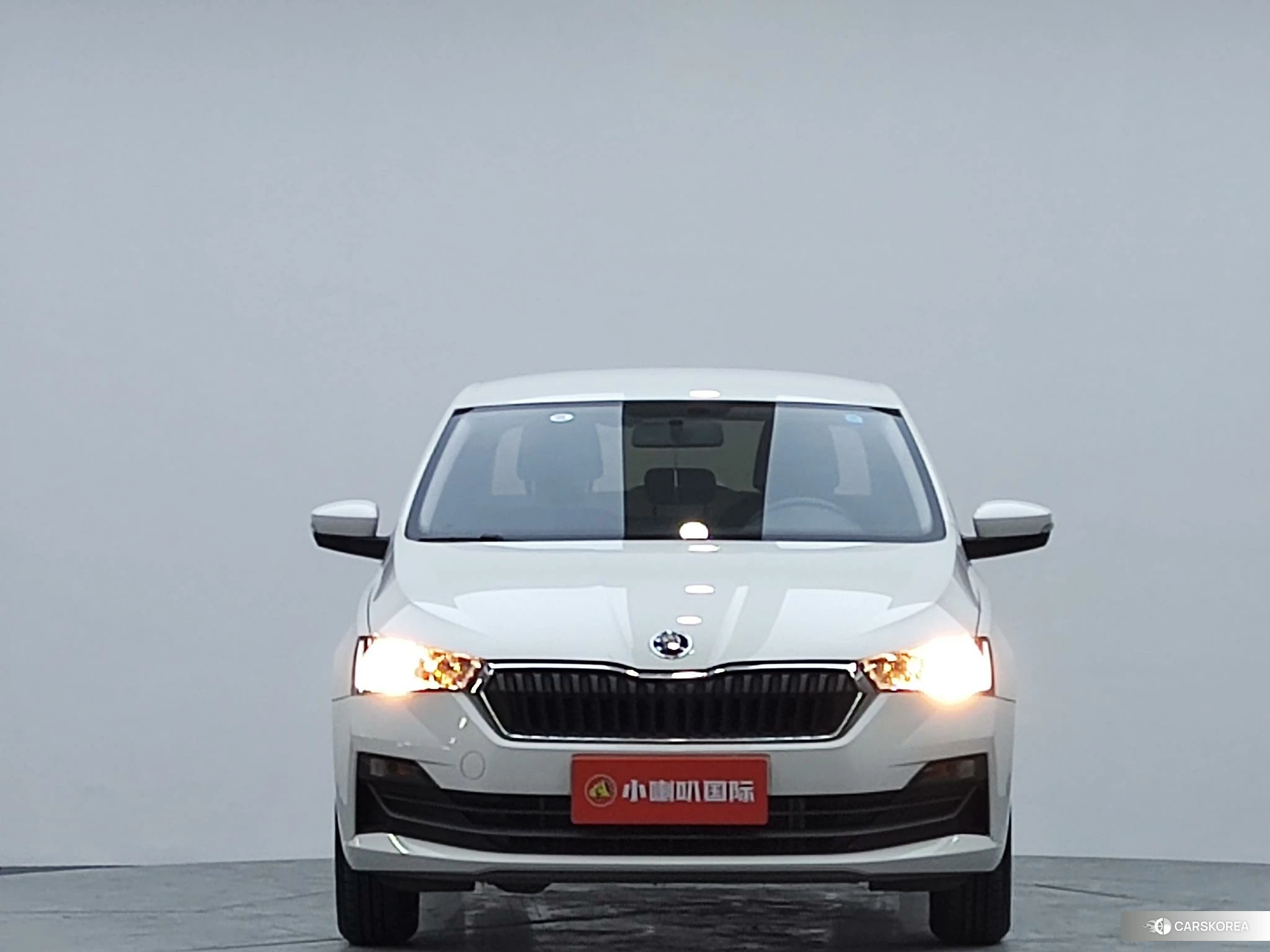 Skoda Rapid 2020 Белый из Китая, фото 5