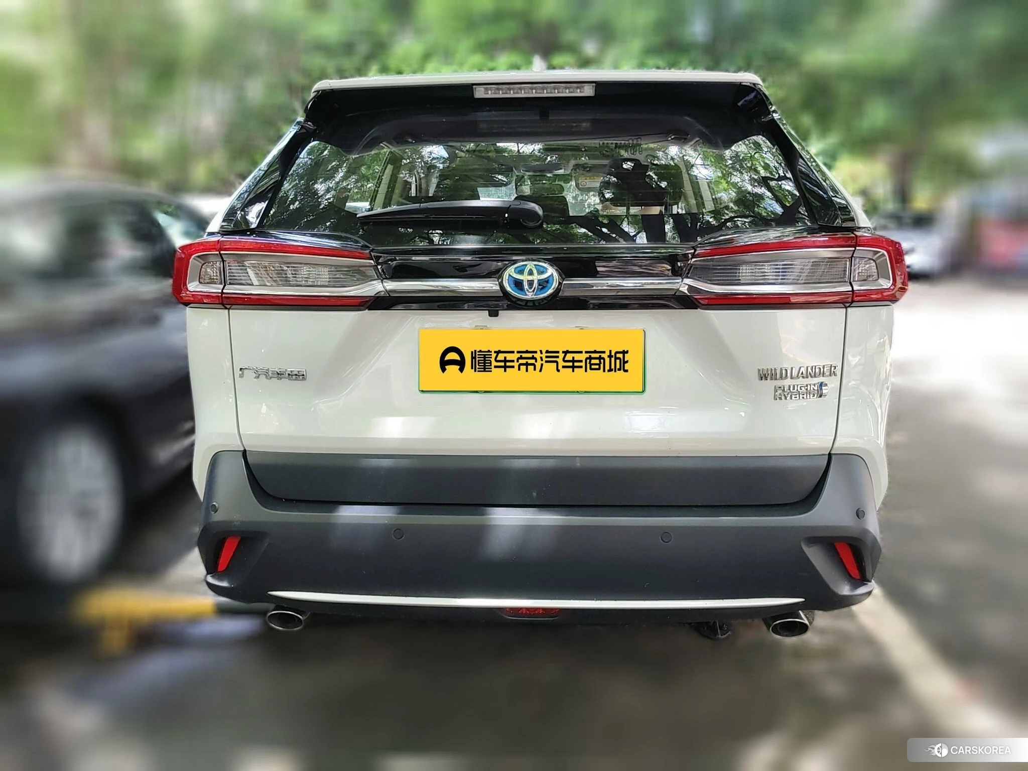 Toyota Wildlander 2021 Белый из Китая, фото 5