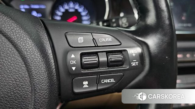Kia The New Carnival 2019 Белый из Кореи, фото 5