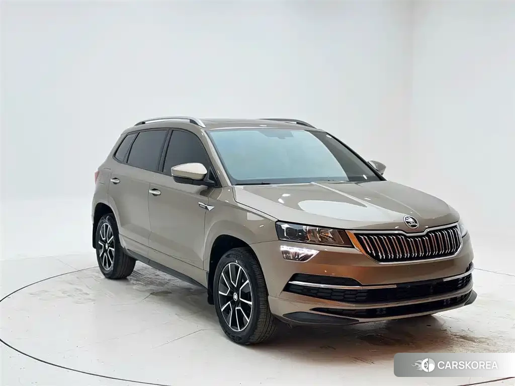 Skoda Karoq 2022 Champagne/brown из Китая, фото 5