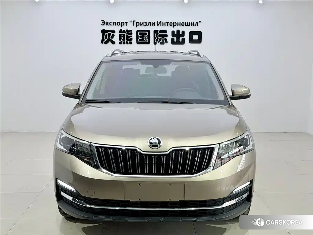 Skoda Kamiq 2023 Champagne/brown из Китая, фото 6