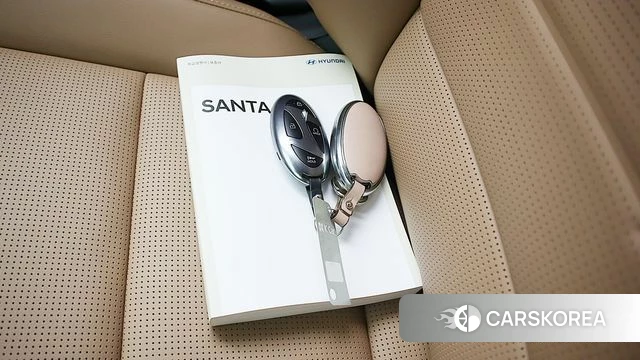 Hyundai Santa Fe (MX5) 2025 Жемчужный цвет из Кореи, фото 6