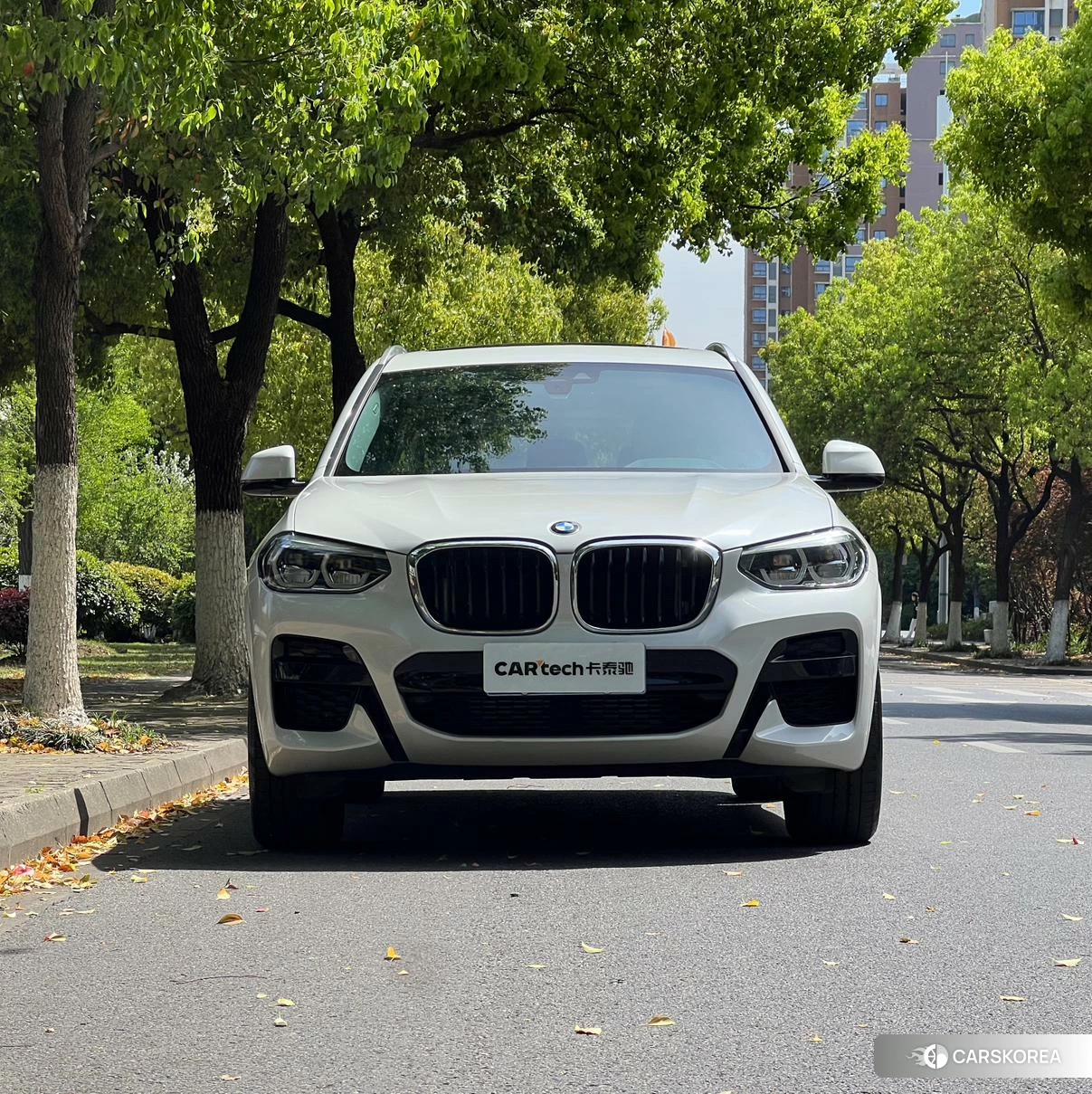 BMW X3 2020 Белый из Китая, фото 6