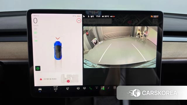 Tesla Model 3 2021 Черный из Кореи, фото 6