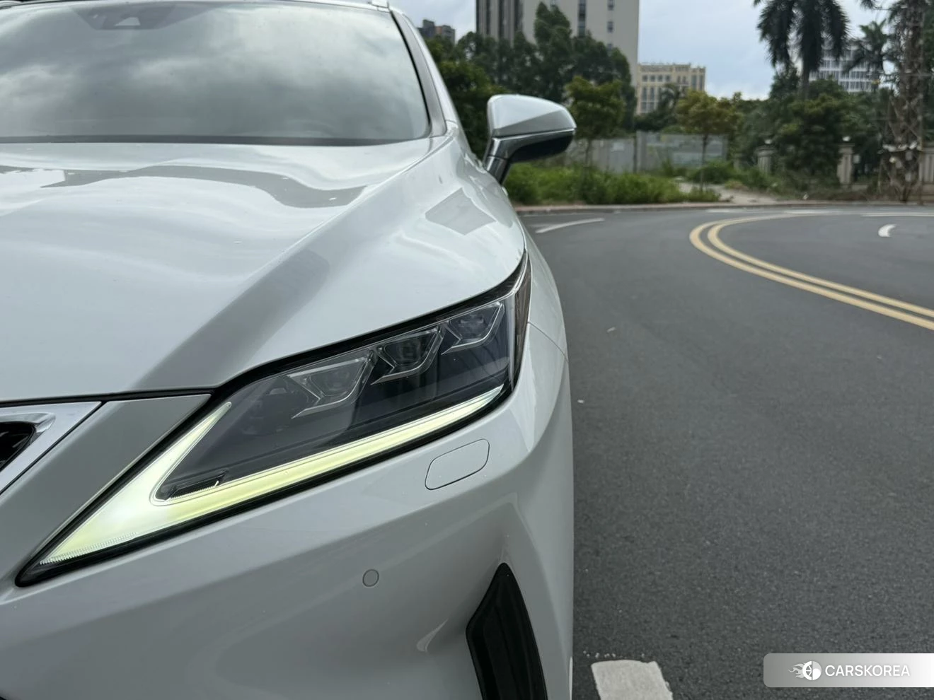 Lexus RX 2020 Белый из Китая, фото 6