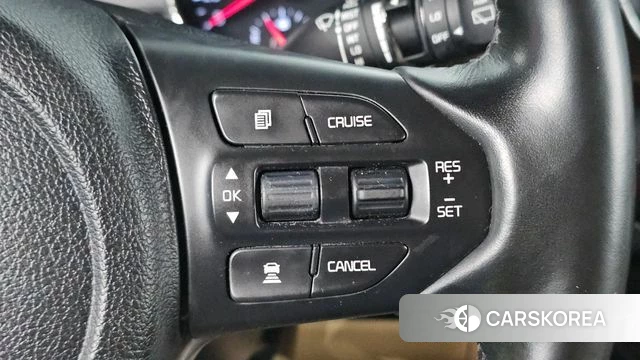 Kia The New Carnival 2019 Белый из Кореи, фото 6