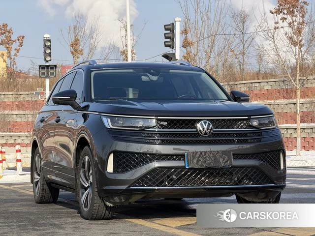 Volkswagen Tavendor 2024 Черный из Китая, фото 6