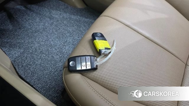 Kia The New Carnival 2018 Белый из Кореи, фото 6