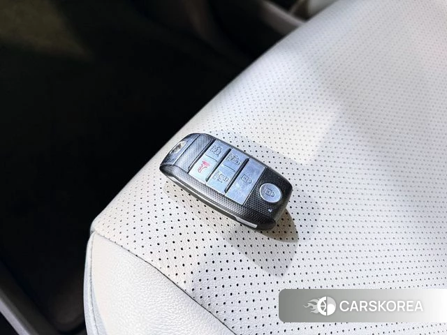 Kia The New Carnival 2018 Белый из Кореи, фото 6