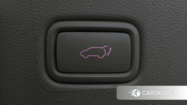 Kia The New Carnival 2019 Белый из Кореи, фото 6