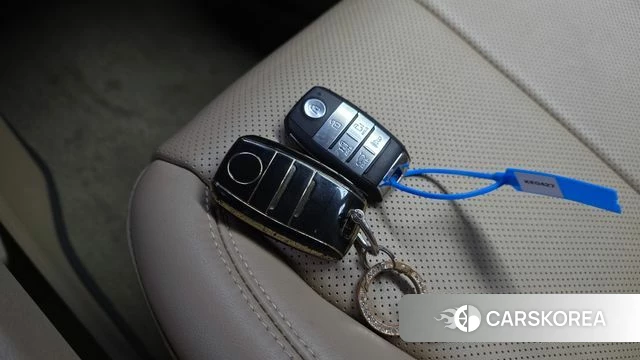 Kia The New Carnival 2019 Белый из Кореи, фото 6