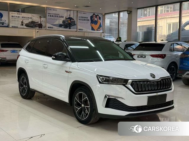 Skoda Kamiq 2024 Белый из Китая, фото 6