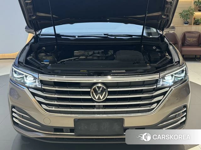 Volkswagen Viloran 2021 Шампань из Китая, фото 6