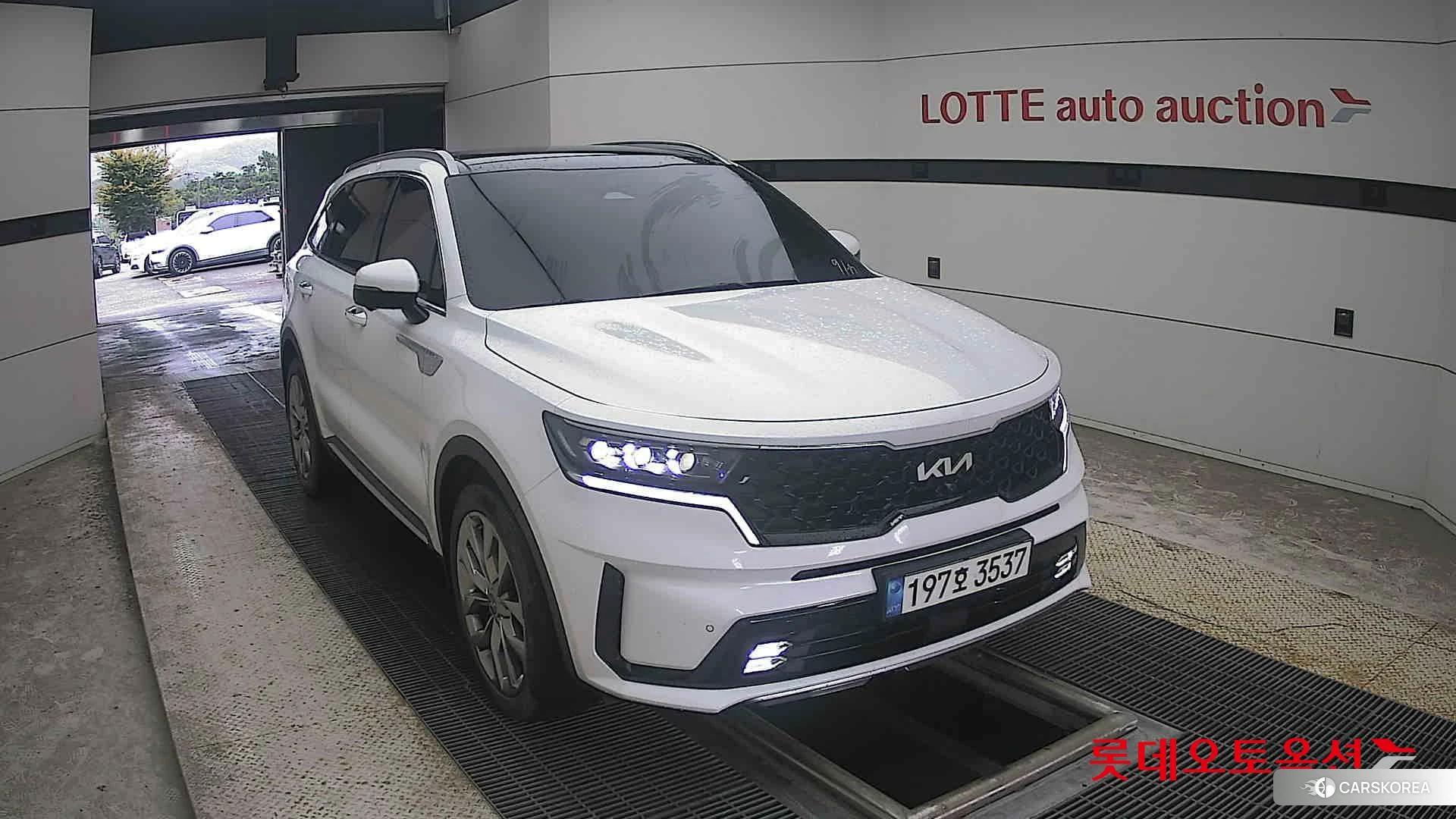 Kia Sorento 2023 Белый из Кореи, фото 6