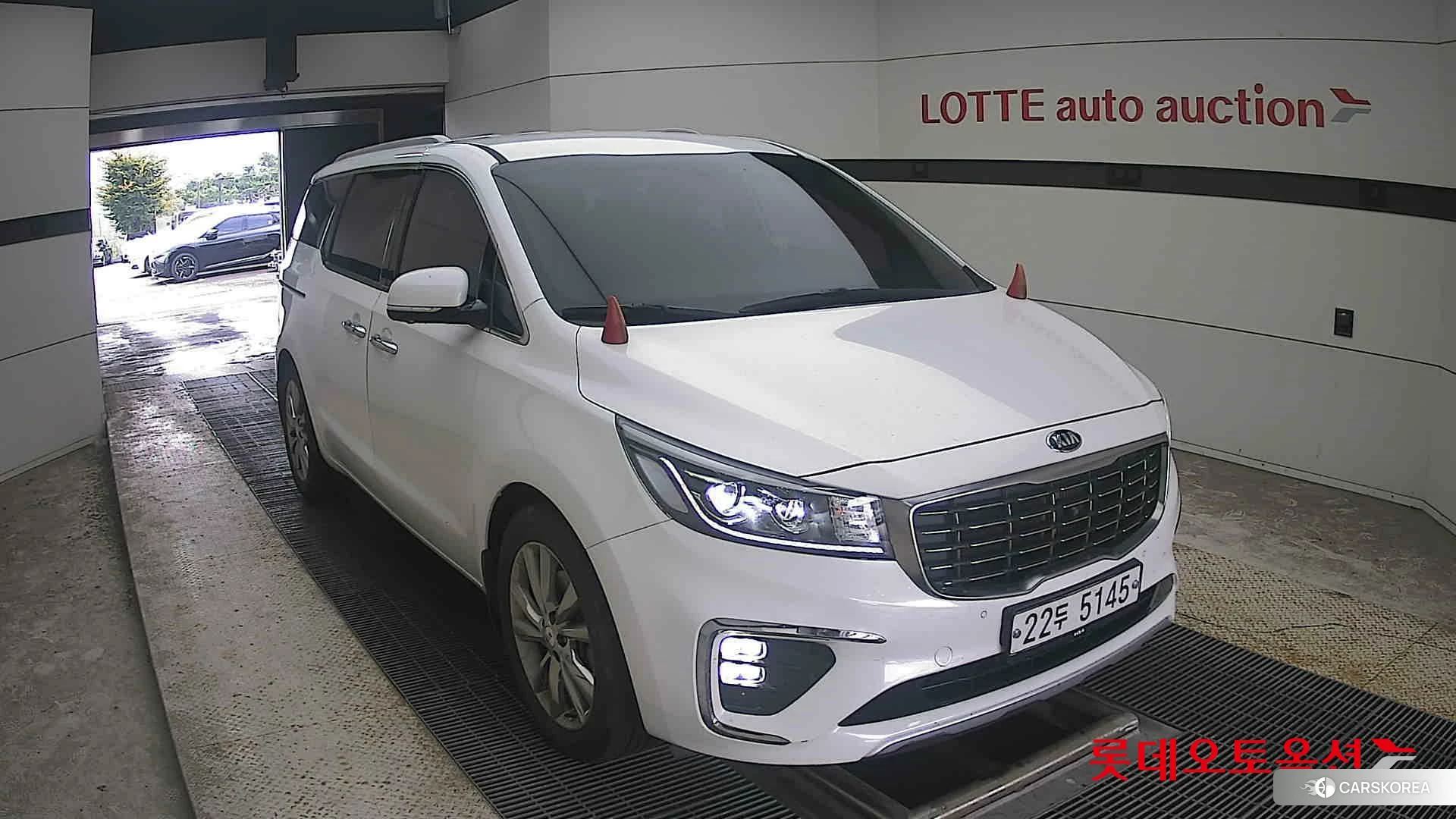 Kia Carnival Limousine 2019 Белый из Кореи, фото 6