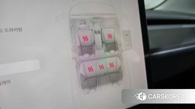 Tesla Model 3 2021 Черный из Кореи, фото 6