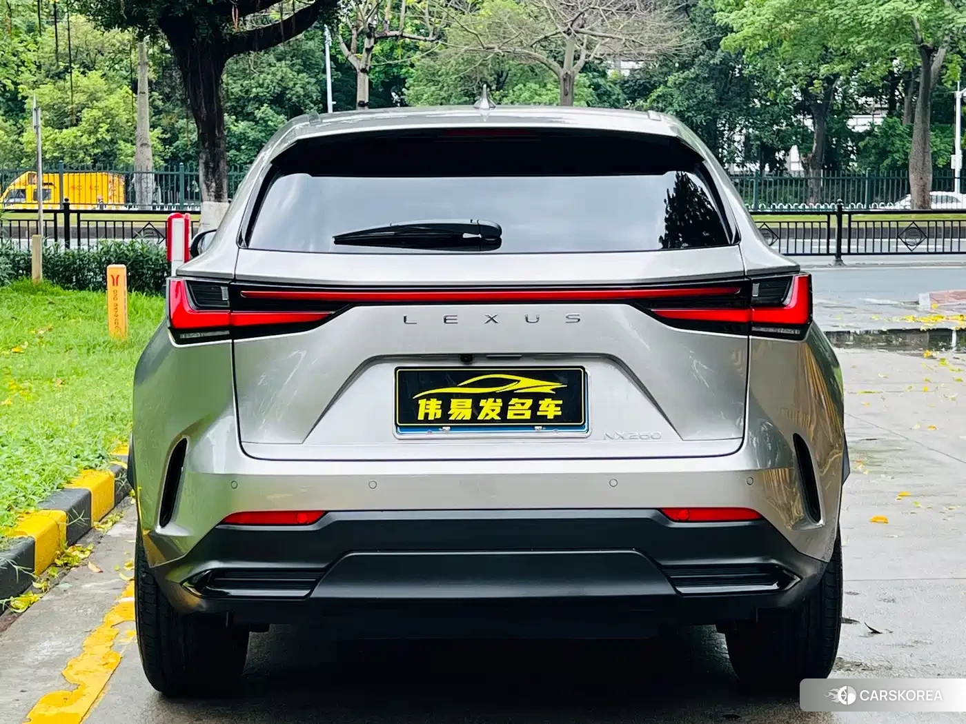 Lexus NX 2024 Silver/gray из Китая, фото 6