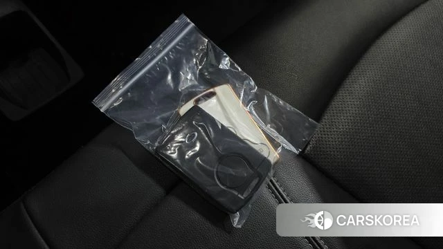 Renault Korea (Samsung) New QM3 2018 Жемчужный цвет из Кореи, фото 6