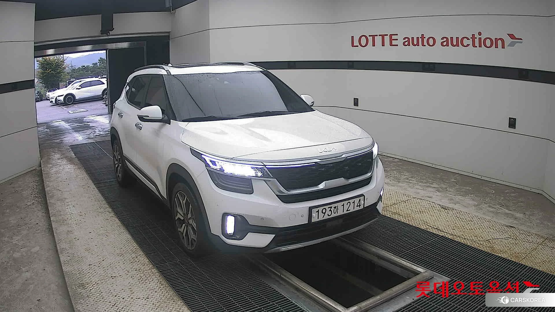 Kia Seltos 2022 Snow White Pearl из Кореи, фото 6