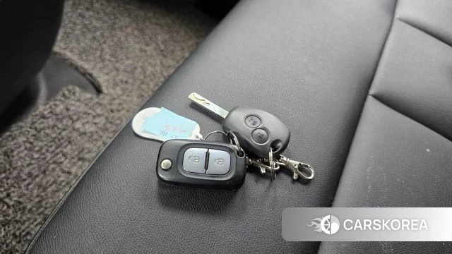 Renault Korea (Samsung) Master id 4918298 из Кореи 7